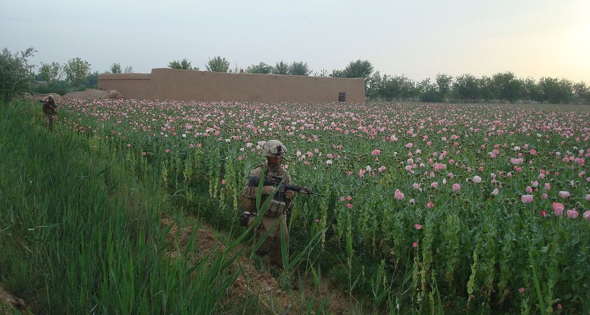 An Unforced Error: How US Attempts to Suppress the Opium Trade Strengthened the Taliban