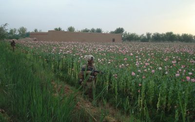 An Unforced Error: How US Attempts to Suppress the Opium Trade Strengthened the Taliban
