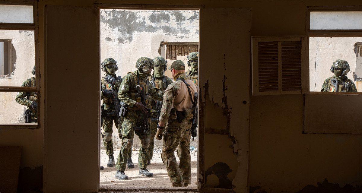 Learning the Wrong Lessons: The Blind Spots in the US Approach to Foreign Military Training